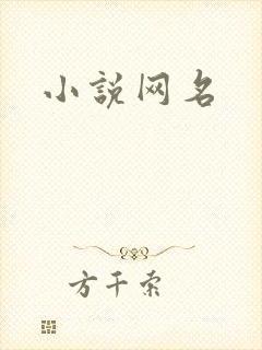 小说网名