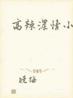 高辣浓情小说
