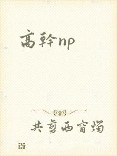 高干np封面