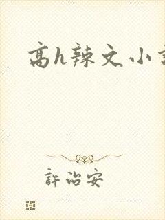 高h辣文小说封面