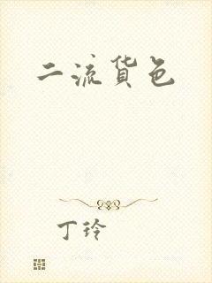 二流货色