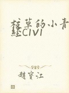 校草的小青梅不经C1V1封面