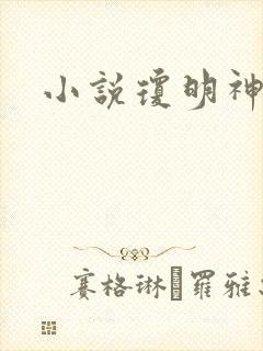 小说琼明神女录