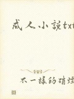 成人小说txt