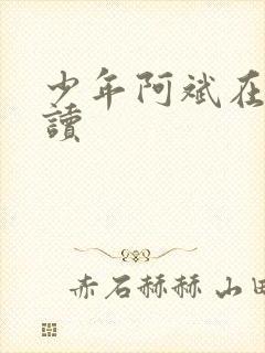 少年阿斌在线阅读