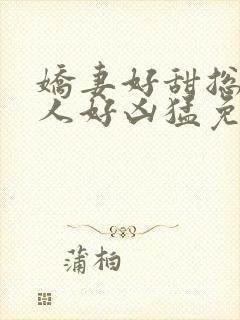 娇妻好甜总裁大人好凶猛免费小说