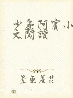 少年阿宾小说全文阅读