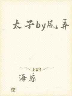 太子by风弄