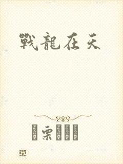 战龙在天封面