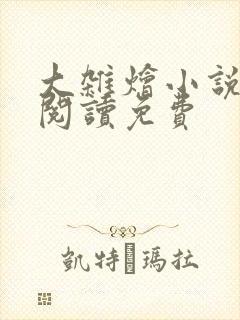 大杂烩小说全集阅读免费