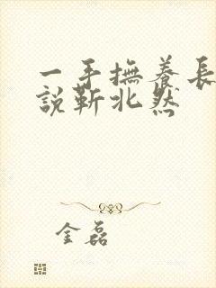 一手抚养长大小说靳北然封面