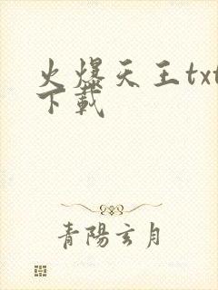 火爆天王txt下载