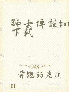 师士传说txt下载