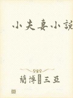 小夫妻小说