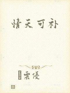 情天可补
