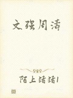文强周涛封面