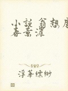 小说 翁想房中春意浓