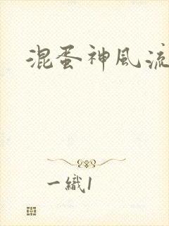 混蛋神风流封面