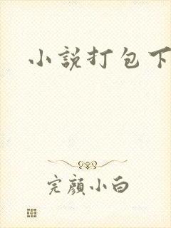 小说打包下载