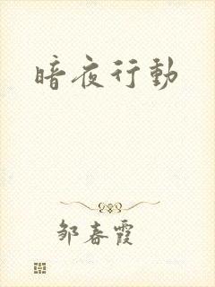 暗夜行动