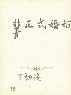 非正式婚姻雾里青