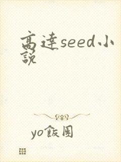 高达seed小说