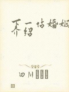 下一站婚姻剧情介绍