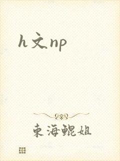 h文np封面