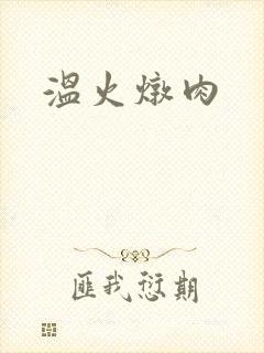 温火炖肉