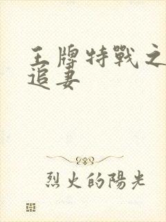 王牌特战之军少追妻