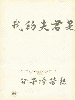 我的夫君是冥王