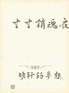 寸寸销魂夜春光