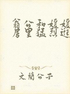 翁公和媛媛在厨房里猛烈进出