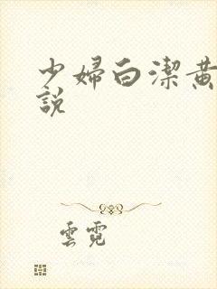 少妇白洁黄色小说