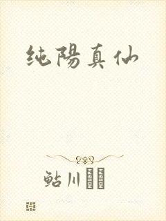纯阳真仙封面