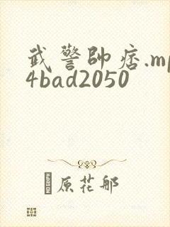 武警帅痞.mp4bad2050