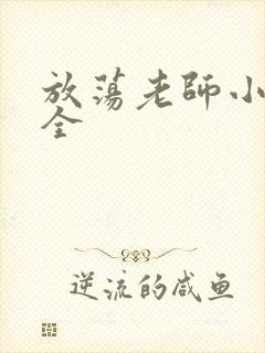 放荡老师小说大全