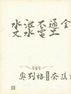 水泄不通金银原文水电工