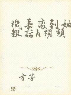 机长脔到她哭h粗话h视频