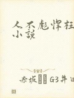 人不彪悍枉少年小说封面