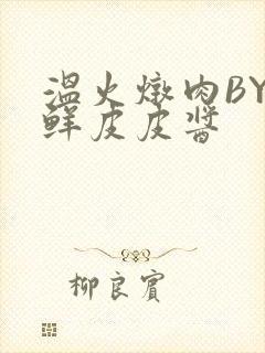 温火炖肉BY海鲜皮皮酱封面