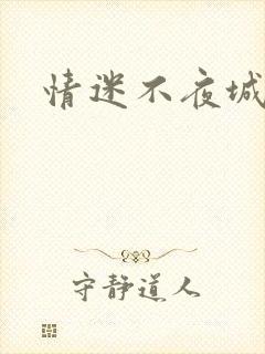情迷不夜城