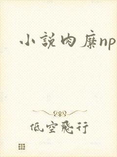 小说肉糜np