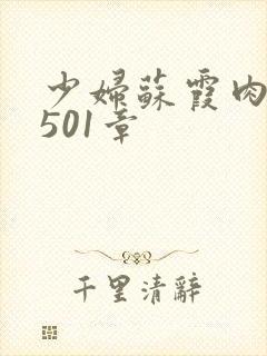 少妇苏霞肉欲第501章