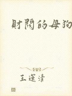 财阀的母狗们封面
