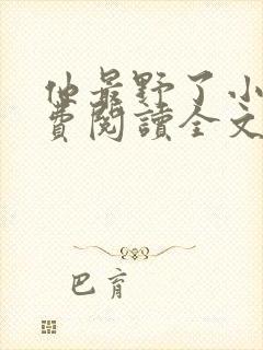 他最野了小说免费阅读全文