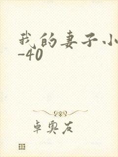 我的妻子小谨1-40