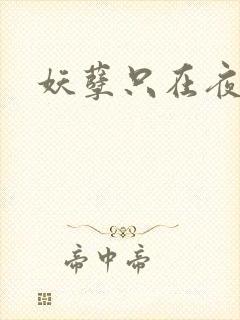妖孽只在夜里哭封面
