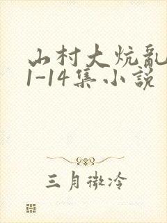 山村大炕乱肉续1-14集小说