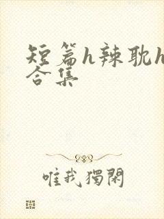 短篇h辣耽h文合集封面